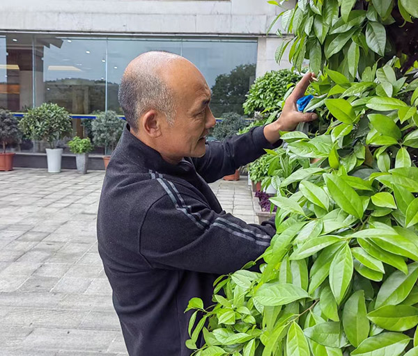 林業(yè)有害生物防治